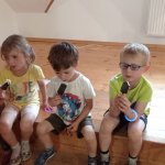 phoca_thumb_m_vp- 4.den 447 Fotogalerie